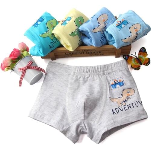 5 Pieces Baby Boys Panties Cotton Cute Cartoon Dinosaur Children Underpants 1-10 Year Kids Panties for Boys Short Briefs