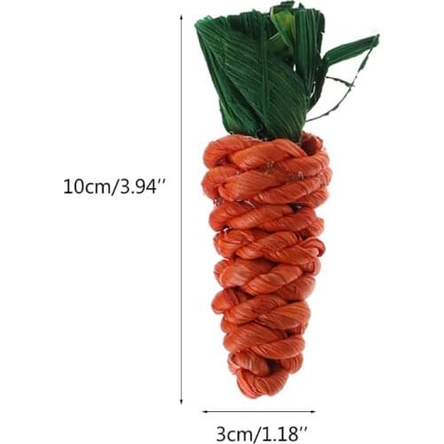 Rabbit Hamster Chew Toys 3/1 Pcs Tooth Cleaning accessories Guinea Pig Chinchilla Rabbit stuff Carrot Shaped Guinea Pig Toys