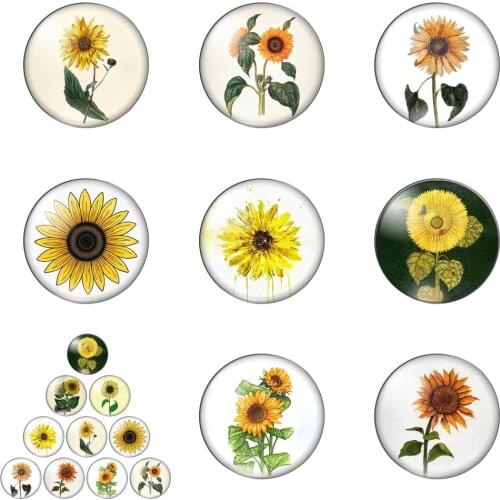 Beauty Chrysanthemum Love Sunflower Sports 12mm/20mm/25mm/30mm Round Photo Glass Cabochon Demo Flat Back Making Findings