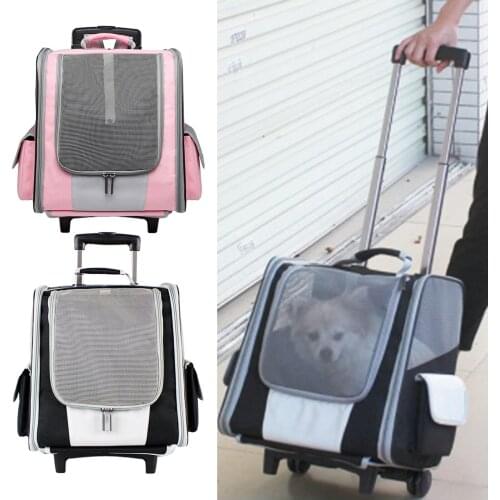 Portable Cat Carrier Travel Pet Trolley Case Carrier Outing Portable Fashion Outing Backpack Pet Bag Box for Small Dogs & Cats