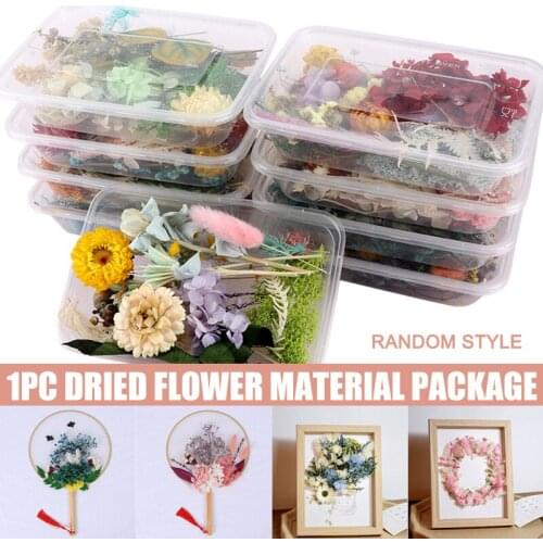 Pressed Flower Mixed Dried Flowers DIY Art Floral Decors Collection Gift Craft DIY Home SUB Sale