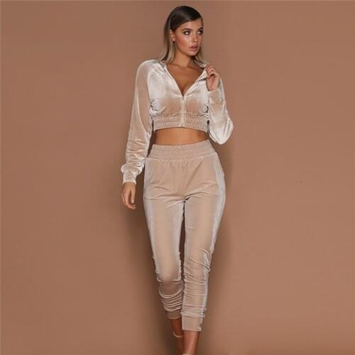 2020 Autumn Women Set 2pcs O-Neck Long Sleeve Short Zipper Hoodies Sweatshirt Elasic Waist Pants Velvet Tracksuit Casual Suit