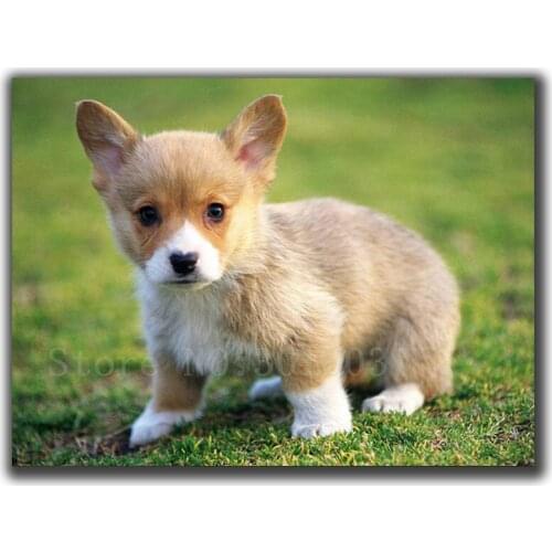 3D Diamond Mosaic Diy Diamond Embroidery Dog Playing On The Grass Full Diamond Painting Cross Stitch Rhinestone Home Decorations