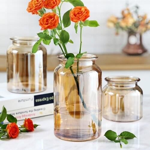 Glass Vase Colored Transparent Vase Colorful Hydroponic Rich Bamboo Lily Green Dill Decoration Simple Dry Vase