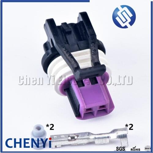 Delphi 2 Pin GM LS ECT Automotive waterproof Sensor Plug female auto connector 15449028 for Buick Regal Lacrosse Sail Excelle