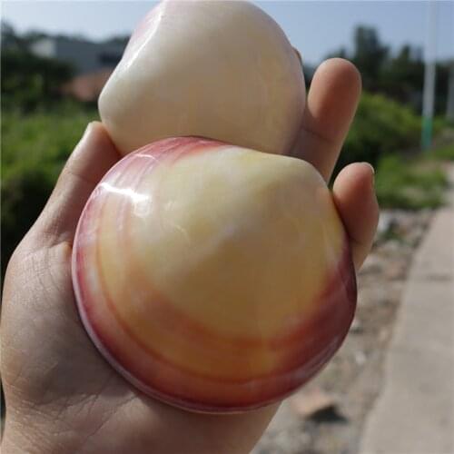 Natural Conch Shell Powder Clam Light Clam Shell Fish Tank Landscape Decoration Exquisite Gift for Lovers Decoration Crafts Gift
