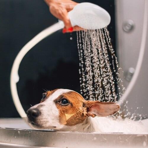 TEAEGG Showers For Dogs