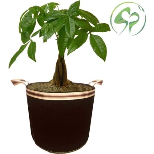 5/10/20/30/40/65 Gallon DIY Plant Grow Bags Planting Container Garden Pots Planters Vegetable Planting Bags Home Garden Supplies