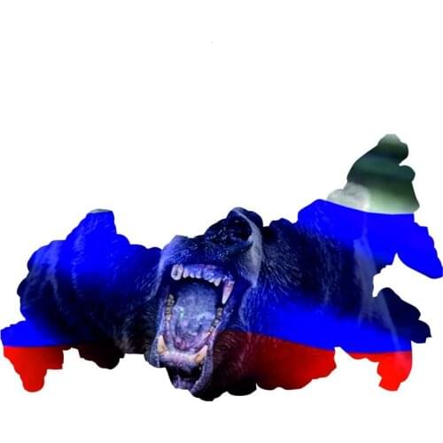 A0502# 13cm/17cm Removable Decal Russia Map Motorcycle Car Sticker Waterproof Accessories on Bumper Rear Window Laptop