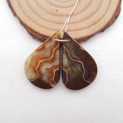 Charms Gemstone Ammonite F ossil womem fashion Earrings,Semiprecious stone earring 32x16x5mm，7.5g