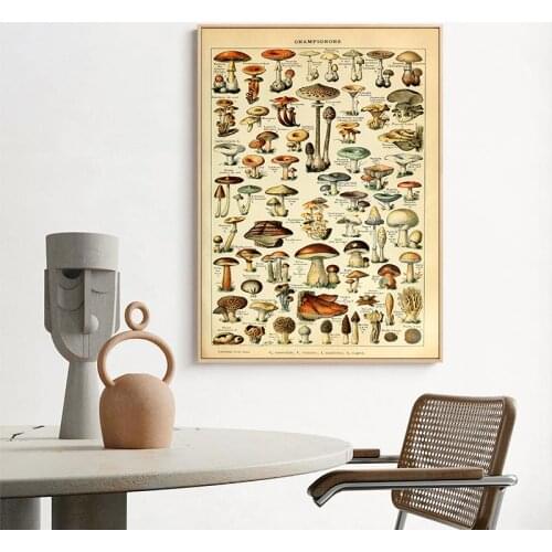 Vintage Mushroom Poster Kitchen Decor Antique Botanical Art Prints French Version Educational Wall Art Canvas Painting Pictures