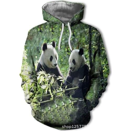 3D Hoodie Giant Panda Hoodie Hip Hop Animals Cosplay Sweatshirt Tops Casual Streetwear for Kid Hoodies Men Unisex Cloth