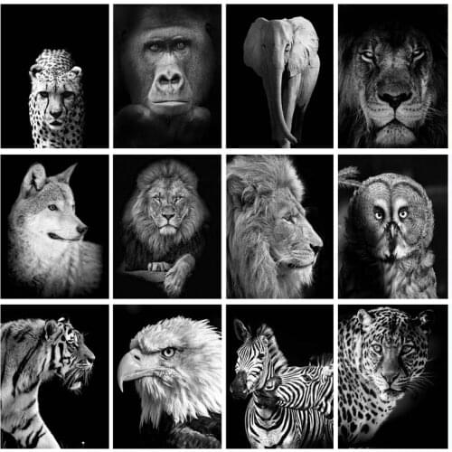 Black White Animal Diamond Painting 5D DIY Lion Tiger Leopard Orangutan Elephant Diamond Embroidery for Living Room Decor Art