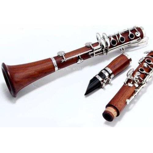 MARGEWATE 17 Key Bb Clarinet Rosewood Srtaight Pipe Professional B Flat Clarinet Musical Instrument with Mouthpiece Case