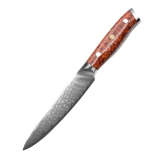 Sharp Japanese Kitchen Knife 5 Inch Fruit Paring Knife High Carbon Steel 9Cr18Mov Slicing Knives Utility Knife Multi Tools