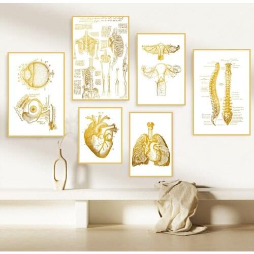 Golden Body Organ Bones Picture Poster Canvas Paintings And Prints Cuadros Art Decoration Mural Modern Home Room Wall Decor