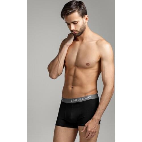 Lingeamo Men's Underwear