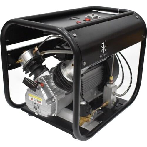 4500Psi 300Bar Air Compressor Double Cylinder High Pressuer Pump Auto Purge and Auto Stop for Air Rifle Gun Tank 110V 220V