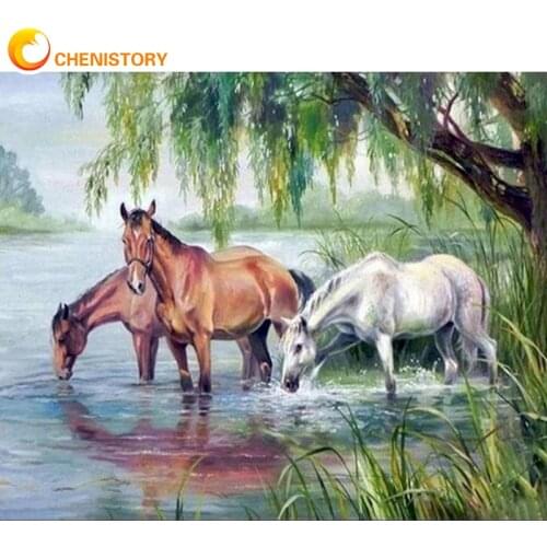 CHENISTORY Painting By Number Horse Landscape Drawing On Canvas HandPainted Art Gift DIY Picture By Number Animal Kit Home Decor