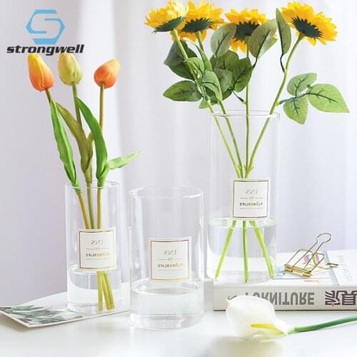 Strongwell Nordic Simplicity Flower Vase Container Modern Artware Living Room Decoration Ornament Vases Housewarming Gifts