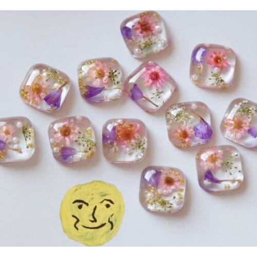 Spring Botanical Garden Dried Flowers UV Epoxy Sealed In Mobile Phone Case Hairpin DIY Hand-made Patch Jewelry Material