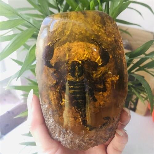 100mm Natural amber. Scorpion. Butterfly. Cicadas. Biological specimens