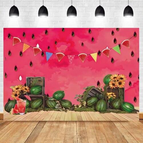 Laeacco Vinyl Photography Background Summer Watermelon Theme Party Child Portrait Photozone Photographic Backdrop Photo Studio