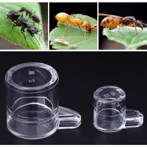 Two Size Ant Feeder Water Feed Area For Ant Nest House Farm Acrylic Round Drinking Bowl