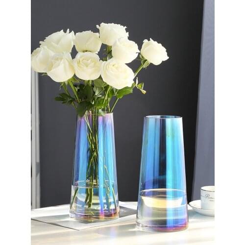 Colorful Glass Vase Living Room Thick Glass Tabletop Vases Rose Flower Ware Home Decoration Flower Bottles Creative Decoratives