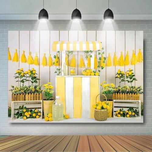Lemonade Cake Smash Photography Backdrop Lemonade Stand Birthday Party Decor Summer Lemonade Girl Artistic Photo Background