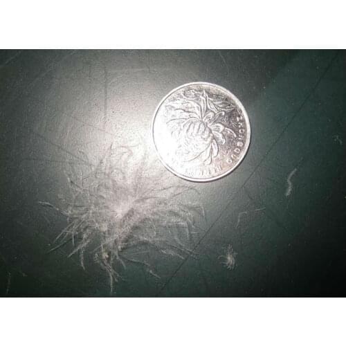 Free shipping / 90%Bulk duck down & down coat filler &Korea standard /coat and comforter filler &400g price