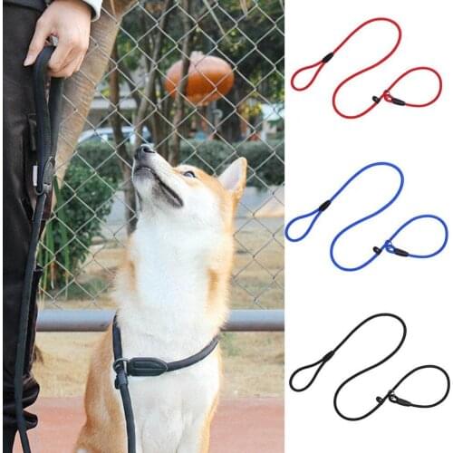 80%HOTTraction rope P-shaped chain anti-bite toughness good pet dog traction rope pet supplies dog training leash