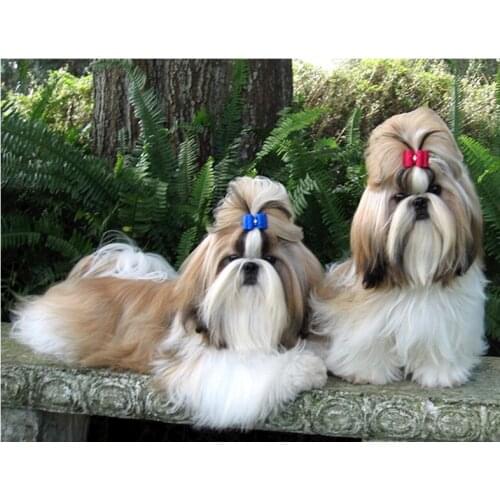 DIY Diamond Embroidery Shih Tzu Puppies Dog Pet 5D Square/Round Diamond Painting Full Display Rhinestones Decor Home YG558