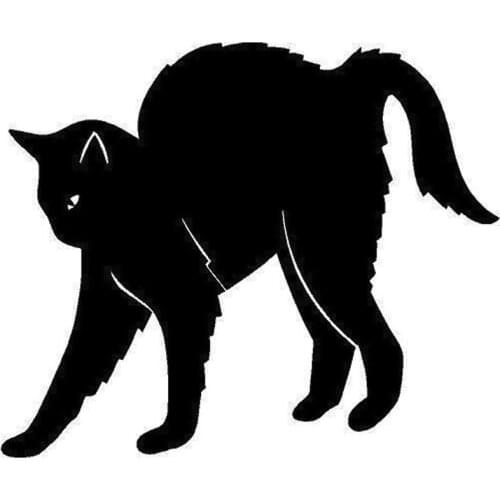 16X12CM Stretching Cat Lovely Funny Cartoon Window Stickers Car Styling Decoration Decal