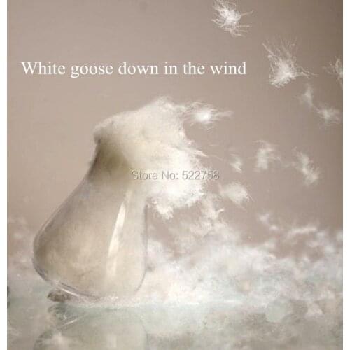 High qulity cheap wholesale white goose down 1 KG price USA 2000 Standard 800 FP RDS