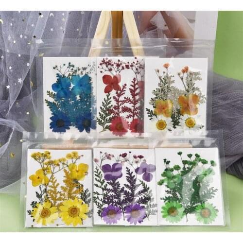 DIY Dried Flower for UV Epoxy Resin Mold Making Handmade Real Flower Nail Art for Resin Crafts Home Decoration