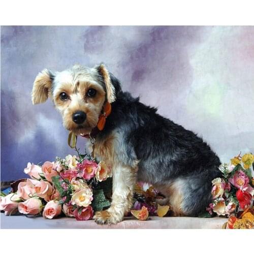 GELANYOUPIN Kits For Embroidery With Beads