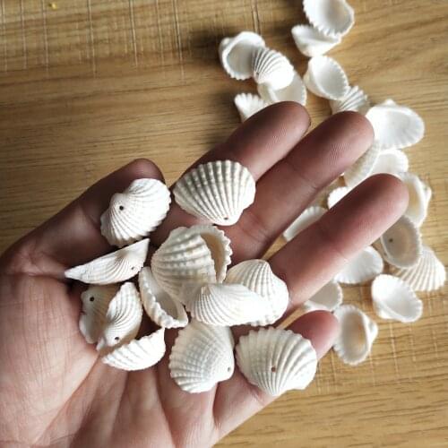 100Pcs Mixed Colorful Scallop hole Shell Natural Seashell from Sea Beach Large Shell With Holes for DIY Art Craft Decor