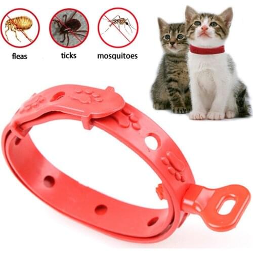 Adjustable Cat Puppy Anti Pest Collar Neck Trap Anti Flea Tick Lice Pet Protection Collar Leash For Cat Dog Health Care