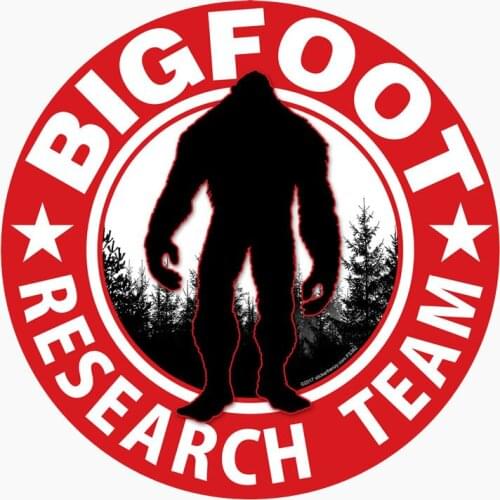 Personality BIGFOOT RESEARCH TEAM KK PVC Decals Cover Scratches Car Stickers Cover Scratches Waterproof Apply To Car Window