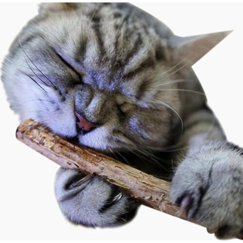 TINGHAO 2Pcs Pet Kitten Chew Stick Treat Toy Wood Catnip Molar Chewing Too Chew Stick Toys