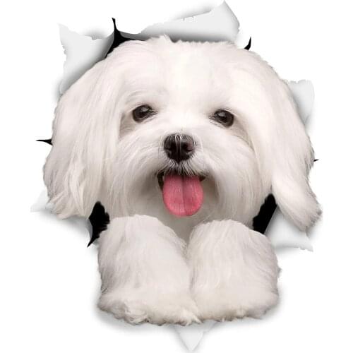 S50237# 13CM/15CM/17CM Personality PVC Decal Cute Maltese Dog Waterproof Car Sticker on Motorcycle Laptop Decorative Accessories