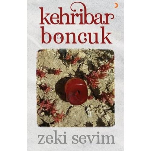 Amber Beads Clever Sevim Cinius Contemporary Turkish Writers Sequence (TURKISH)