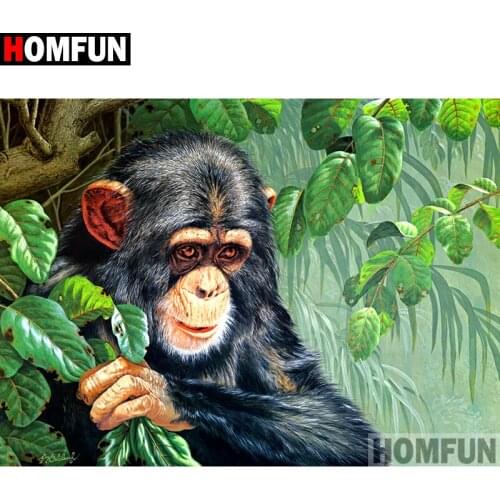 HOMFUN Full Square/Round Drill 5D DIY Diamond Painting "Animal orangutan" Embroidery Cross Stitch 3D Home Decor Gift A10085