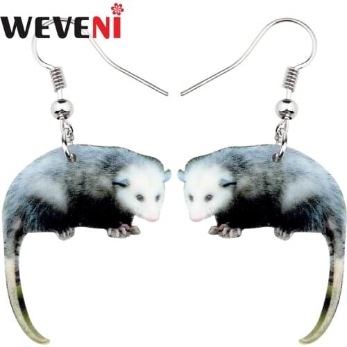 WEVENI Acrylic Wild Possum Earrings Drop Dangle Cute Animal Jewelry For Women Girls Gift Charms Accessories Wholesale Brincos