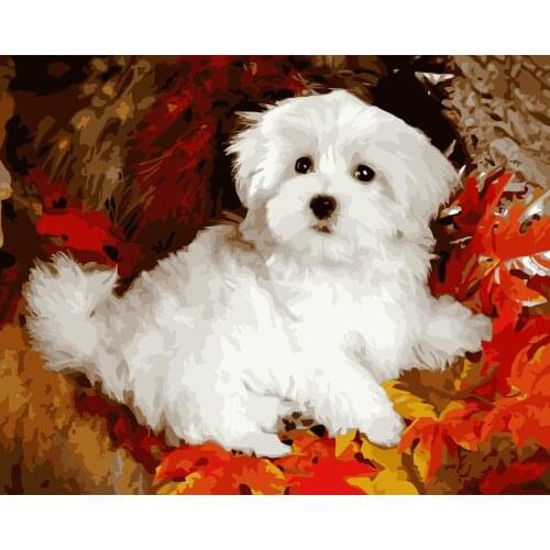 MaHuaf-i622 white cute puppy on Maple leaves DIY painting by Numbers dog animal Hand-painted canvas digital oil paintings