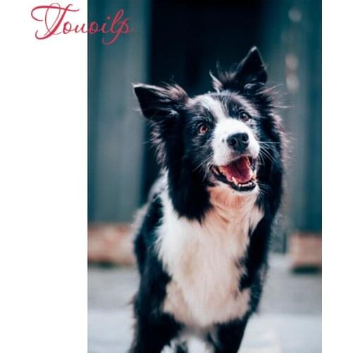 5D spuare&round Husky diamond embroidery dog diamond Patterns Rhinestone Black and white shepherd dog diamond painting