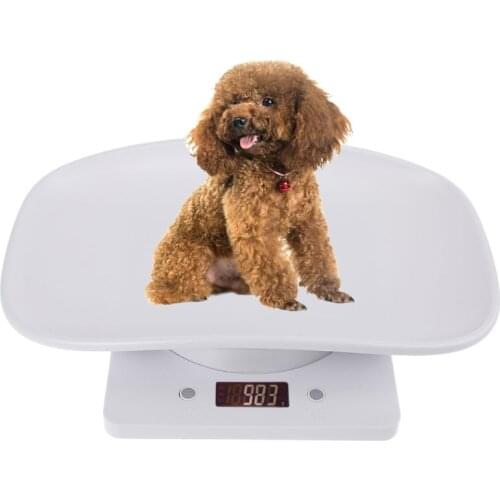 Весы напольные Let’s Pet China At AliExpress