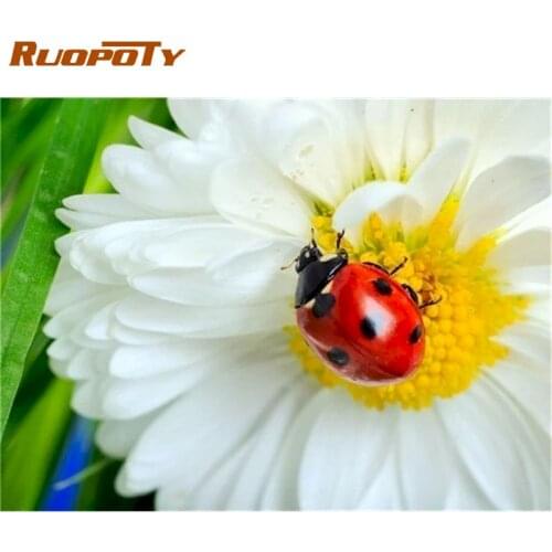 RUOPOTY 60X75cm painting by numbers DIY Flowers Home Decoration Frameless pictures by numbers kids Home Decor Unique Gift