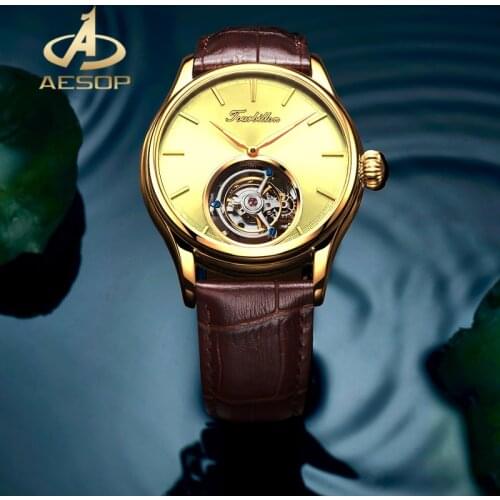 AESOP Men Automatic Watch Sapphire Luxury Mechanical Wristwatch Leather 100M Waterproof Tourbillon Watch Men Relogio Masculino